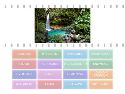 INGLÉS - 6º - U4 - VOCABULARY III