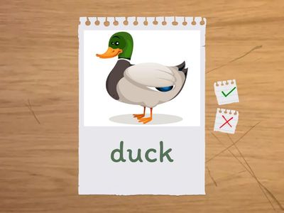 Flashcards for Native Speakers Lesson 2