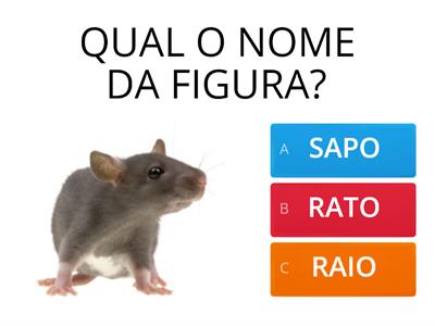 QUAL O NOME DA FIGURA ?