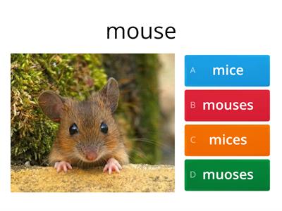 Iregular nouns (plural) 3