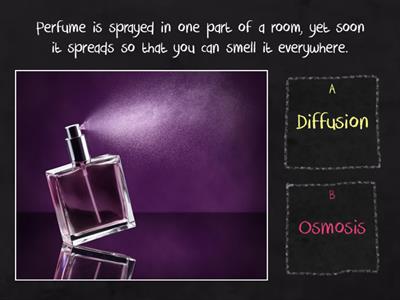 Diffusion and Osmosis Quiz PDM