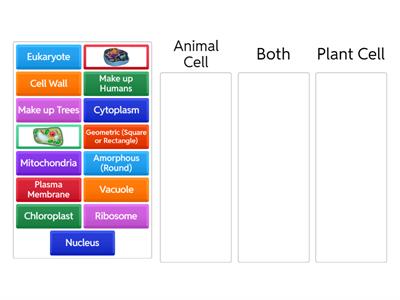 Animal vs. Plant Cell Sorting