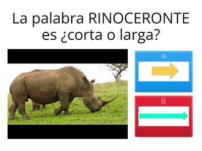 Palabras cortas o largas Prekinder