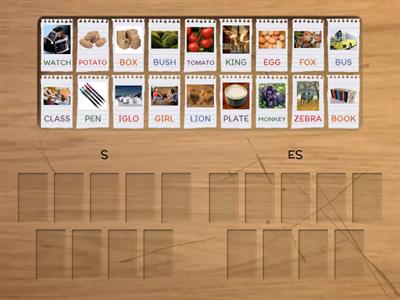 PLURAL OF NOUNS ( S- ES)