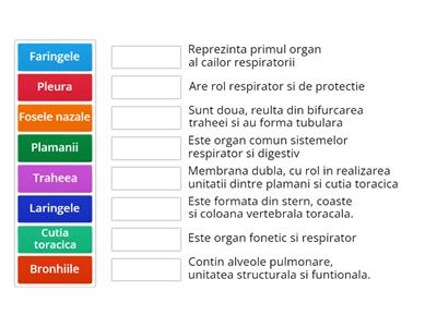 Sistemul respirator