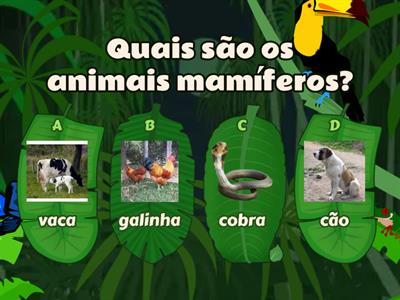 animais