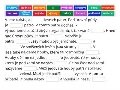 Ekosystém les a rostliny v něm.