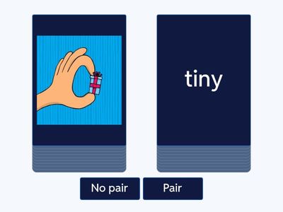 Descriptive Adjectives Pair or No Pair