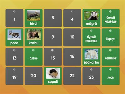 Euroopan eläimiä. YM5.lk CLIL su-ve