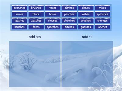 Sort 7 Plural Endings