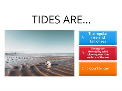 SOCIAL SCIENCES 2 Sarasate