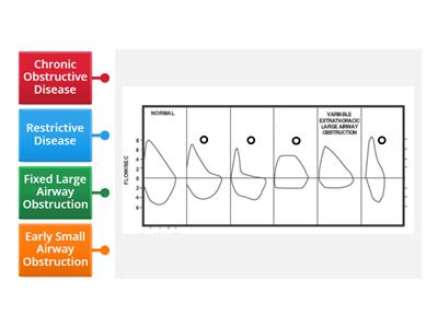 Respiratory Disease Loops 