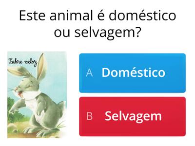  Animais