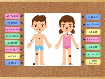 5 - Body Parts - Diagram