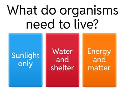 Introduction to Ecology NIS grade 6