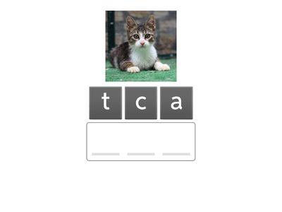 Basic 1 Anagram with clues