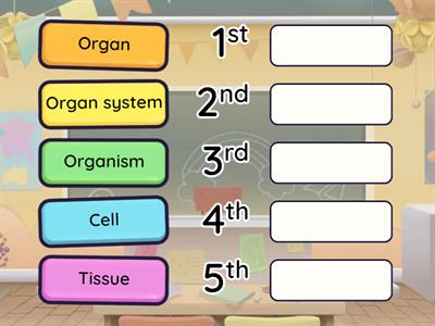 Organisation - smallest to largest (no pictures)