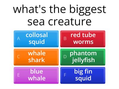 guess the answer in a ocean disaster 