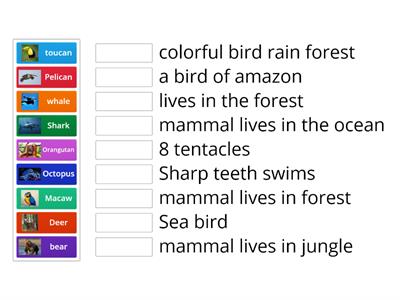 sort animals by  habitat or attributes 