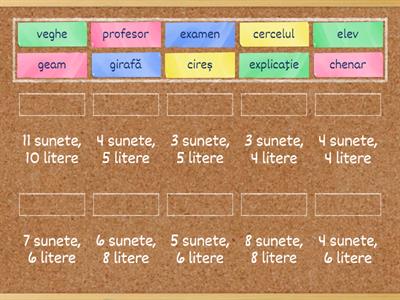 Sunete/litere