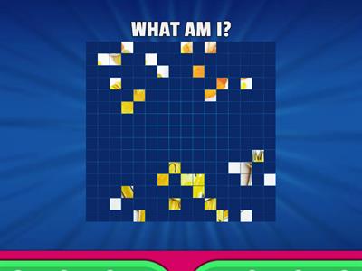 COLOR MONSTER - WHAT CAN YOU SEE