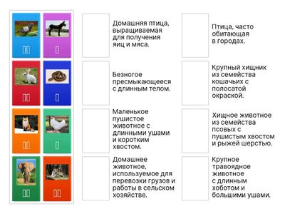 Лексика животные. Китайский язык