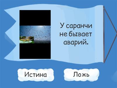 Интересные факты