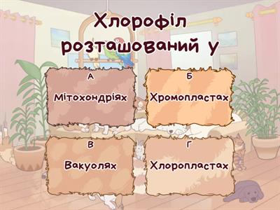 Фотосинтез