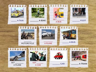 TRANSPORTATION COLLOCATIONS 