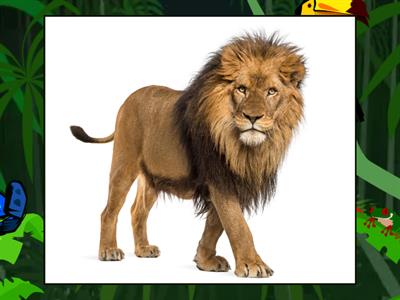  Look 2 unit 9 - Flying fruit