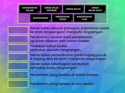 BIOLOGI TING 5: KOORDINASI & GERAK BALAS