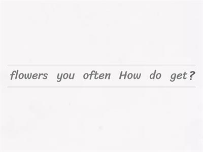 Present Simple Wh Questions