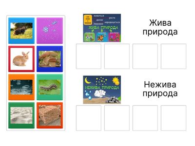 Жива та нежива природа