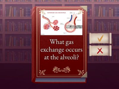 Image based flashcards for Bio Revision