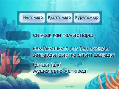 Қанайналым жүйесі