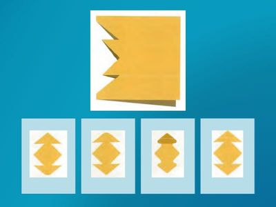 BİLSEM 11. DENEME SINAVI