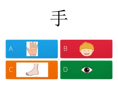  身体与五官 （简体字）