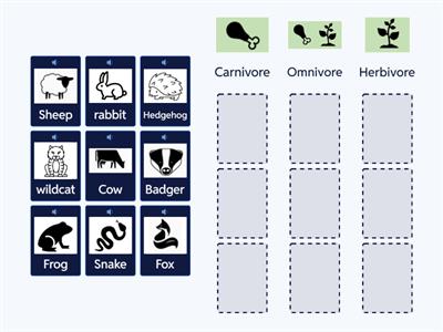 Types of animals by what they eat