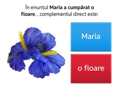 Complementul direct, complementul indirect.