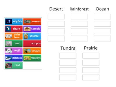 Animals in their Environments