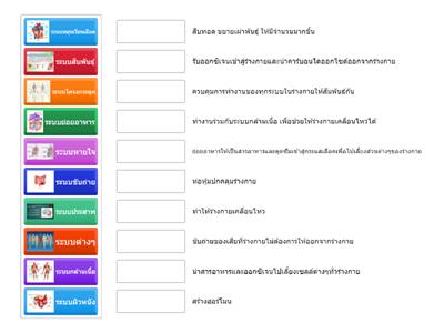 ระบบร่างกาย_วลัยภรณ์015