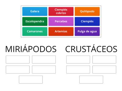 Miriápodos y Crustáceos