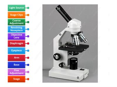 Parts of a Microscope