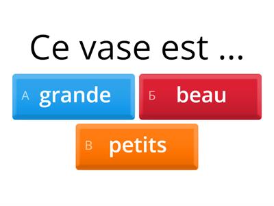 Прилагательные французский