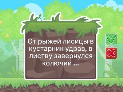 Загадки обманки