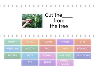 Find the magic words