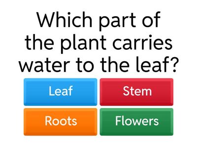 Parts of a Plant