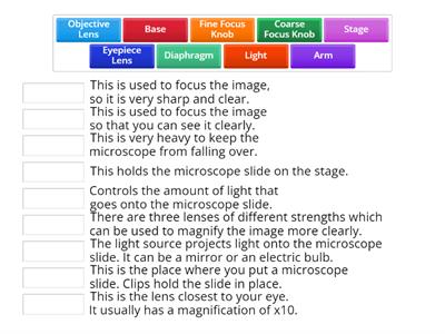 Parts of a Microscope