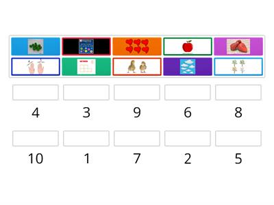 Associare le quantita' di oggetti al numero