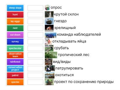 Starlight 6. Module 5e.